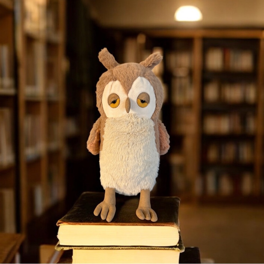 Jellycat OAKLEY OWL RETIRED RARE Plush Lovey Sleepy Bird Collectable Barn Owl
